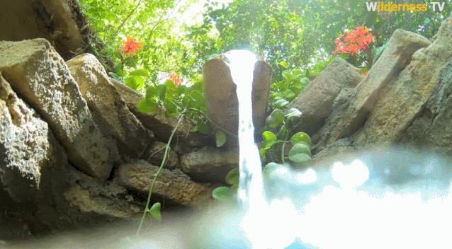 小哥哥徒手建房子,小伙为流浪狗打造温馨的城堡