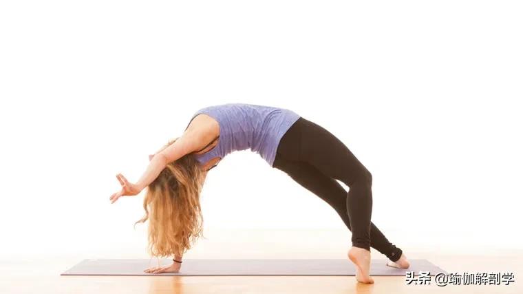 排热排湿的瑜伽,祛湿瑜伽和提升气血瑜伽