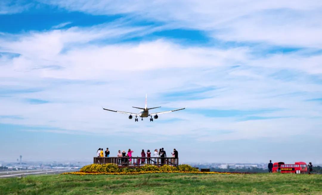 在空港花田里怎么拍照好看,每张都是屏保