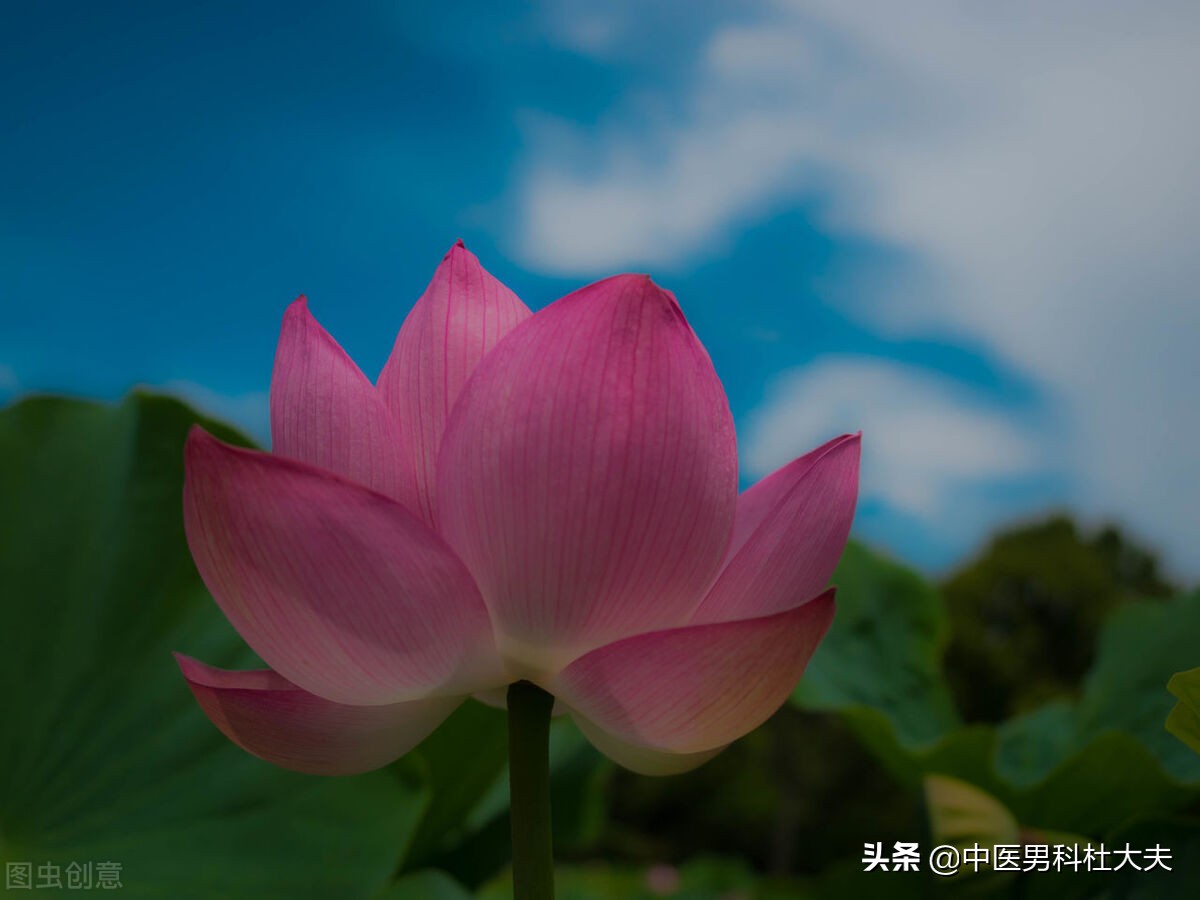 容易生气气血不足怎么调理,容易生气肝火旺口气臭怎么办