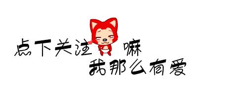 小金毛到家几天可以开始训练,小金毛刚到家该怎么养