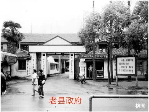 惠南镇历史,惠南20年前