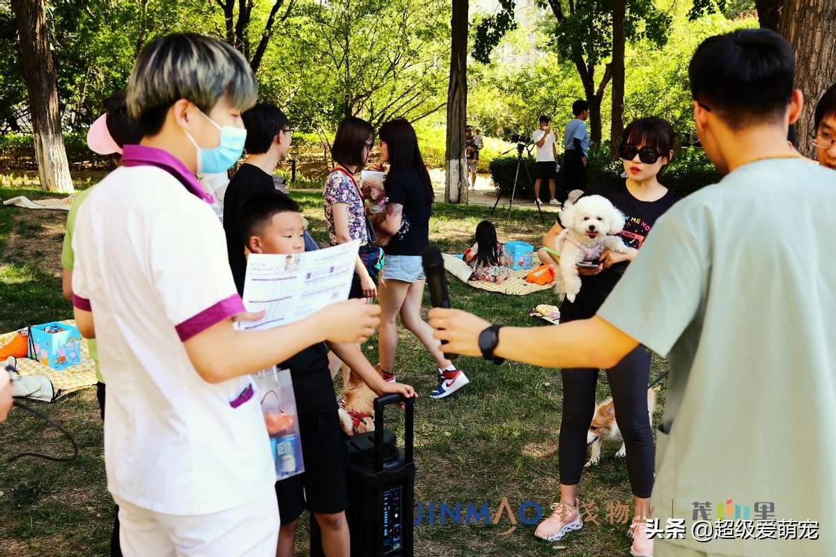 金茂广场萌宠生活节,金茂物业活动
