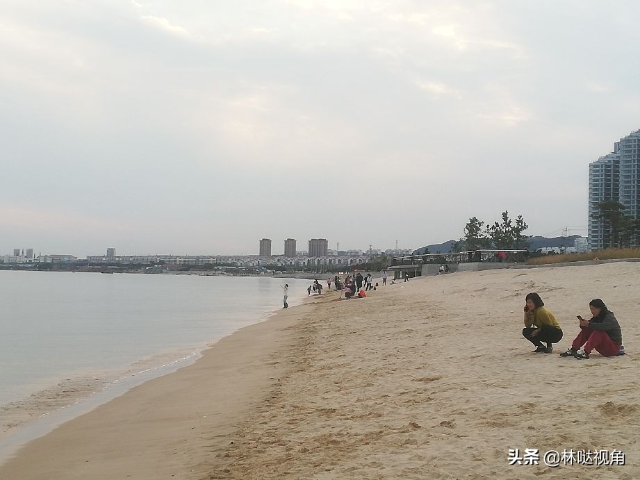 乳山生蚝养殖基地观光,乳山哪里可以养殖牡蛎