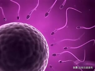 想做试管婴儿，却连这3件事都没弄明白，劝你还是别去浪费时间了