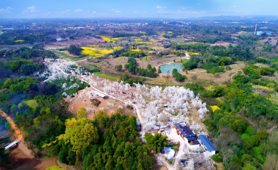 成都春游好去处周末 (成都周边周末春游推荐)