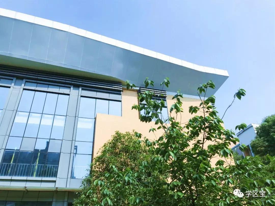 成都泡桐树小学哪个校区最好,泡桐树小学和成都实验小学