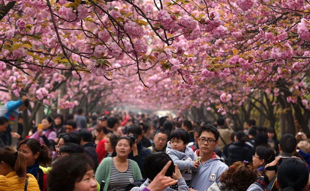全国十大名校在湖北排名,湖北最厉害的10所中学