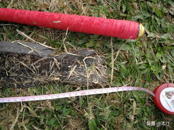 鏅編娓斿叿,鏅編楸艰偉