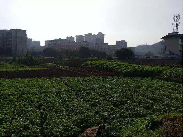 南充：13日上午三宗土地成功出让，成交价最高443万/亩