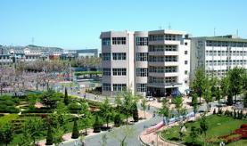 东北财经大学：学科评估、就业质量情况