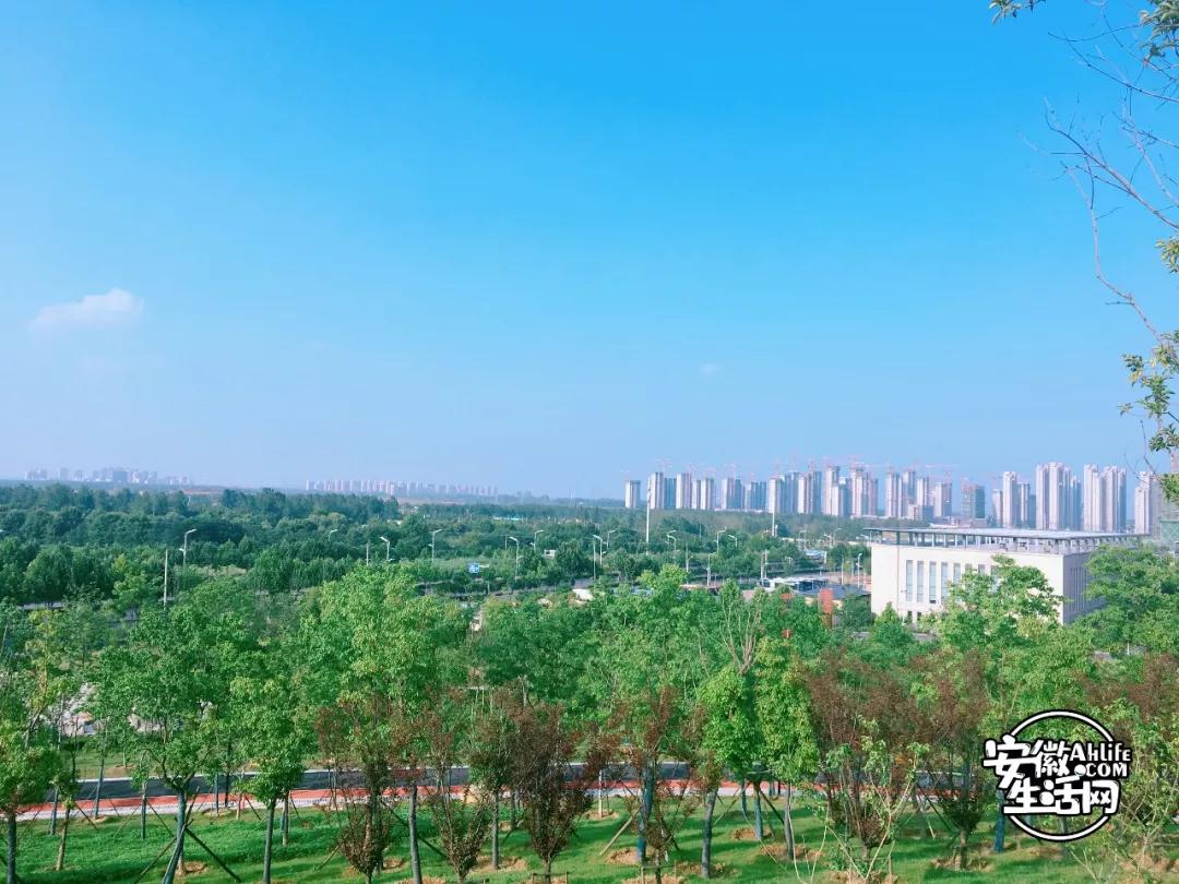 在你眼中的安徽人怎么样,合肥一座满是故事的城市