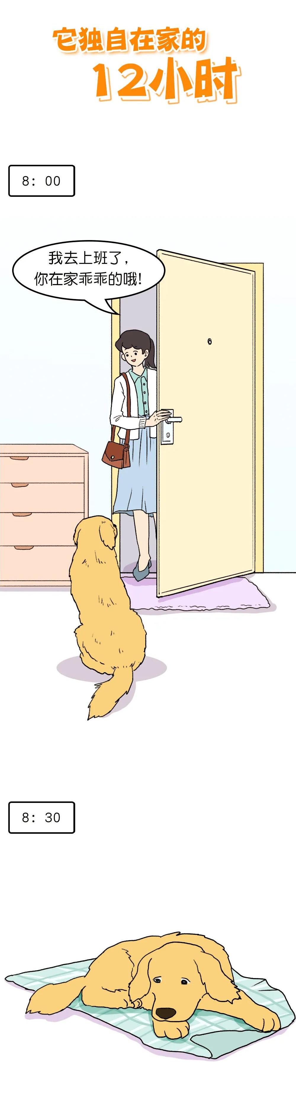 狗子在家来回踱步是什么原因,狗子为什么会很喜欢躲床底下睡觉