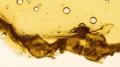 社创案例|变身环保塑料：小龙虾壳的“善终”