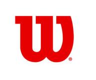 羽毛球三大品牌简介,知名羽毛球品牌