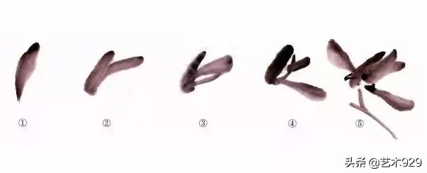 国画兰花的画法太棒了简单易学,泰国兰花绘画技法