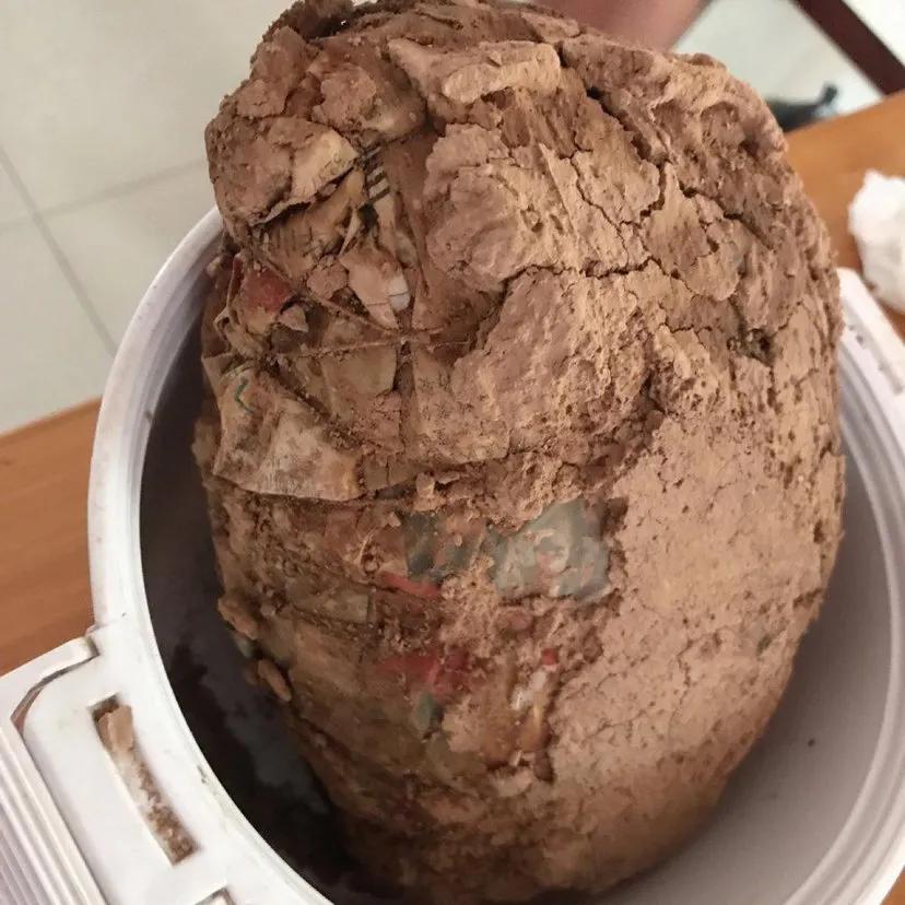 鸡有几种品种和做法,全国鸡的做法有多少种