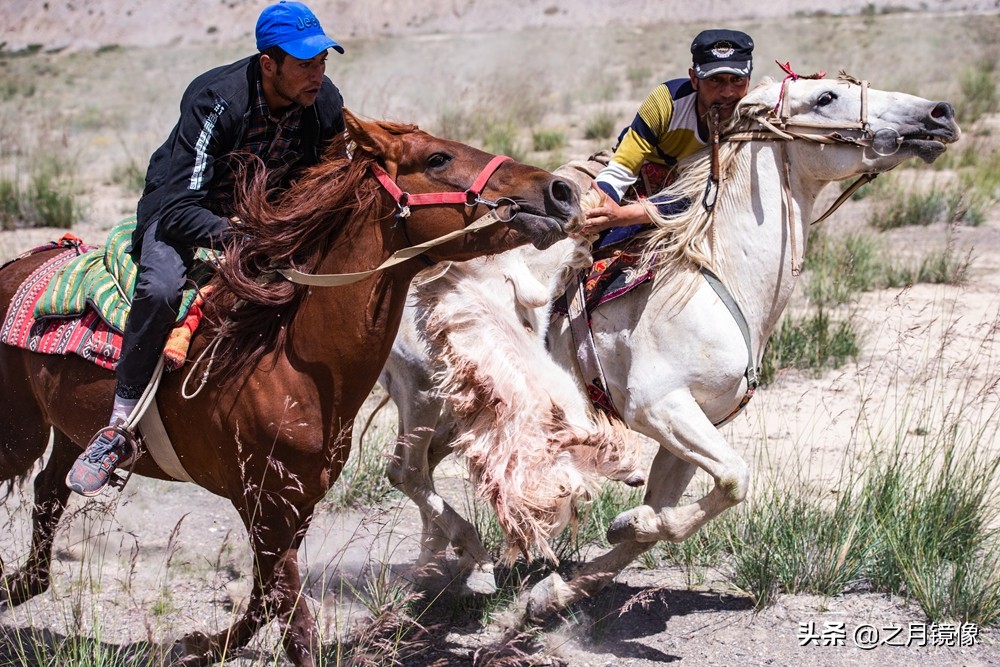 铁血雄鹰全剧,铁血雄鹰全文阅读