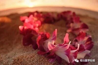 恰逢人间四月，寄一封美哭了的中医情书给你