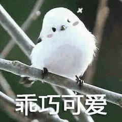 破防了！沈阳这10家绝美新店堪称颜狗天堂