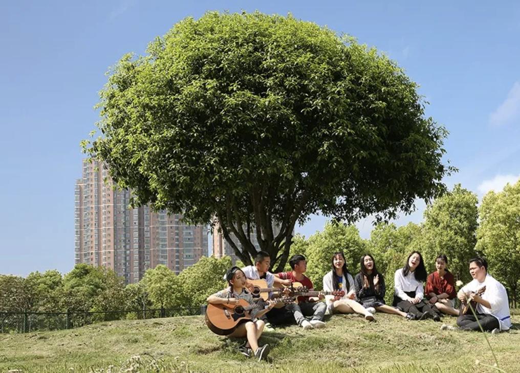 湖北一所学院即将更名为大学,湖北一类高校