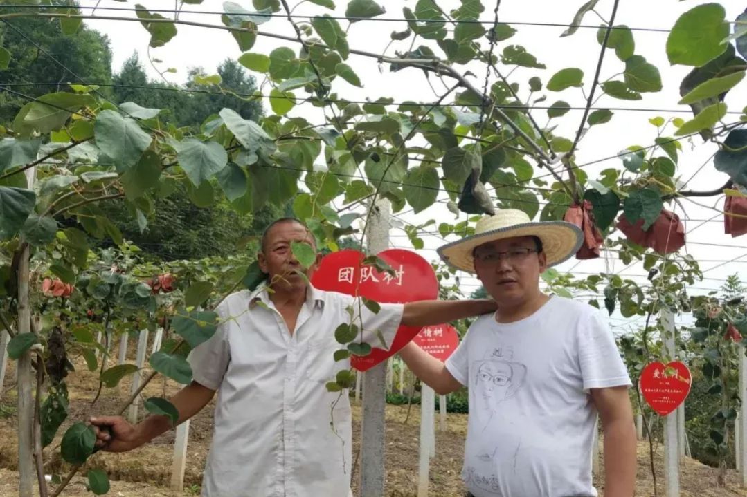 新型农业模式种植什么最赚钱,搞农业致富