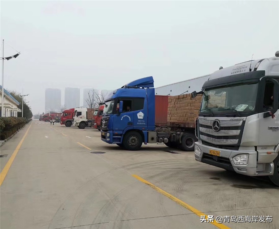 特医产品订单环比增长77%！青岛圣元乳业：细分市场销售实现逆增长