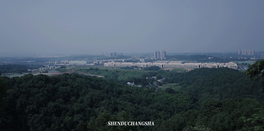 长沙旅游攻略必去的十大景点推荐,长沙旅游攻略必去十大景点免费