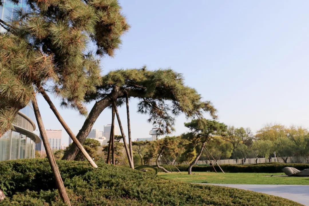 郑州东三环绿地双子塔写字楼,北京东三环经济实惠的写字楼