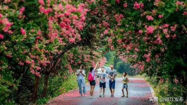 2024温江即将动工的大项目明细,干大事