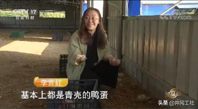 27岁女硕士百万身家创业失败,32岁女硕士被逼卖鸭蛋