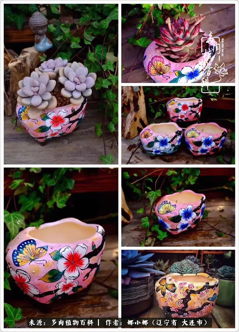 你是盆我是花，你护我周全，我为你绽放