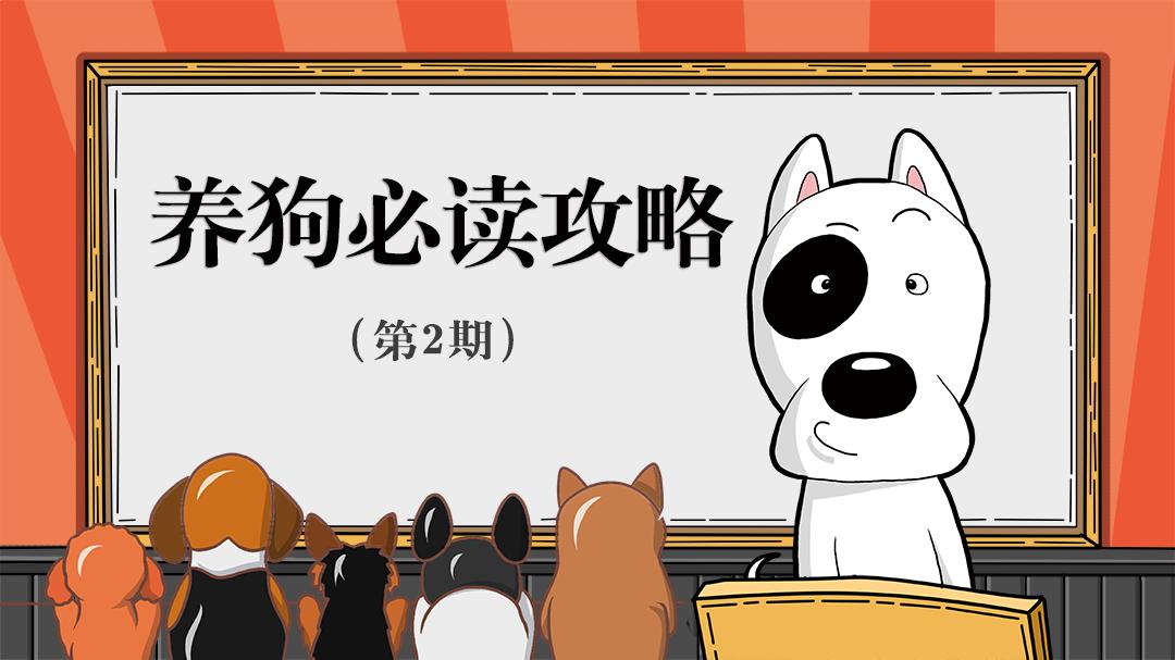 在夏日里小狗为什么总是伸舌头,小狗半夜突然总舔自己是怎么回事