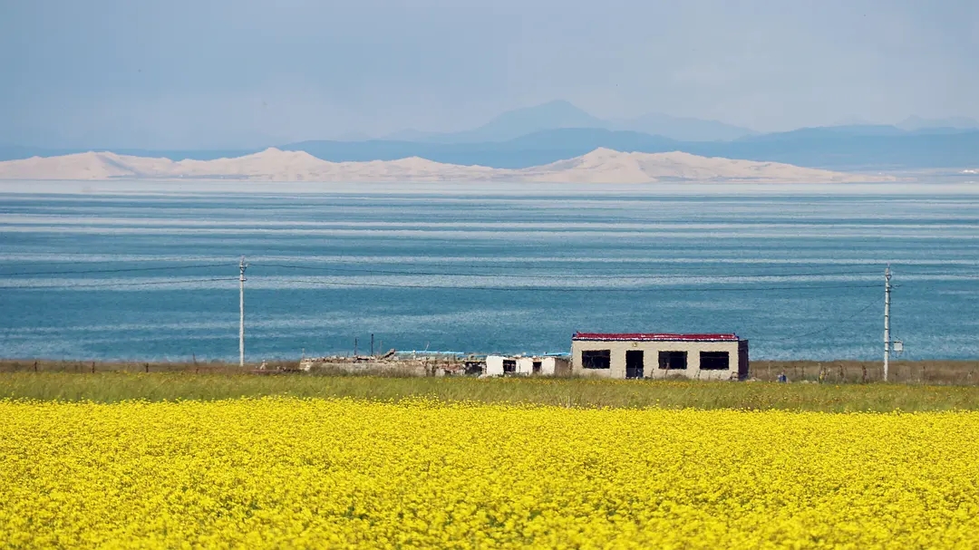 一个人除了上班还是上班,一个人总想找点事做