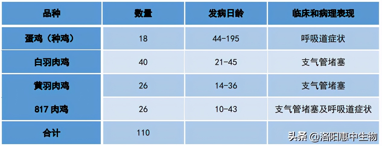 鸡禽流感h9亚型什么症状,禽流感h9亚型是什么意思