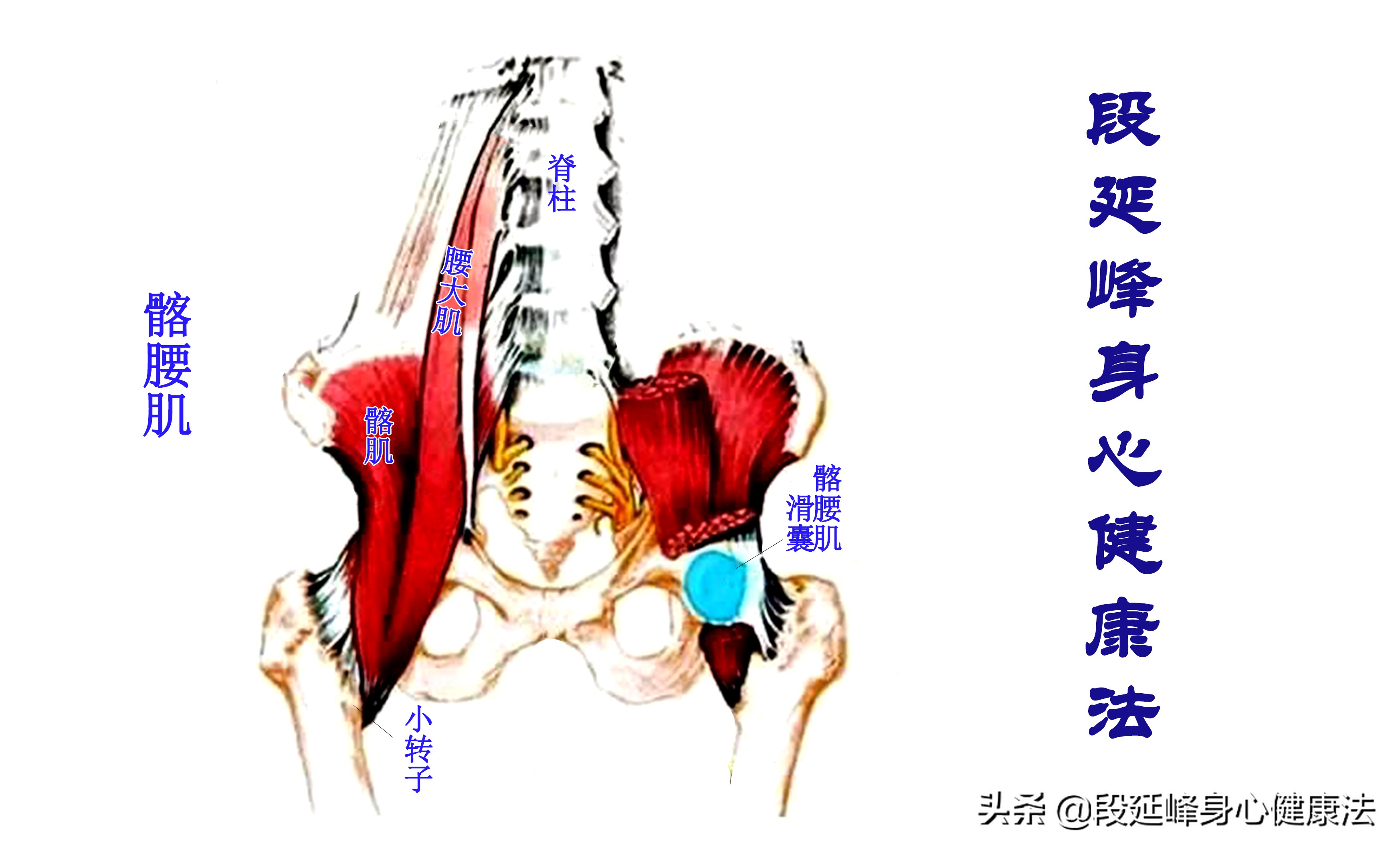 中老年人腰痛，不见得都是腰椎间盘突出，还有哪些病因速看！