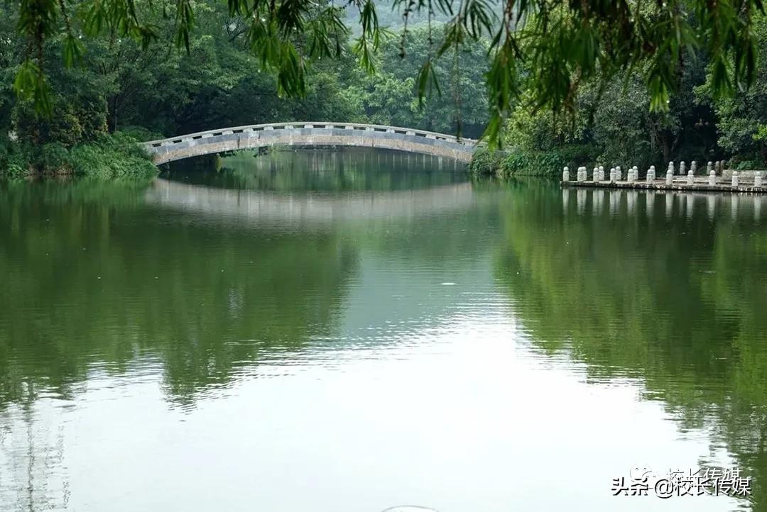 闲来有感完整版,闲来无事有感