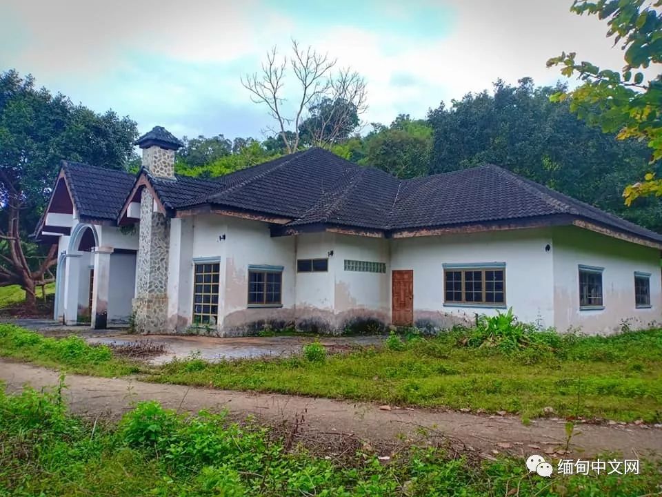 坤沙是怎么当上金三角老大的,金三角大毒枭坤沙传奇的一生