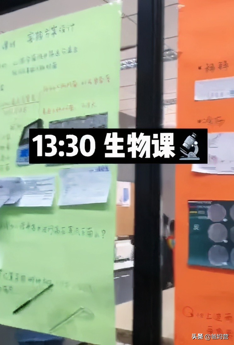 在北大上学到底有多好,在名校上学是有多快乐