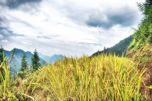 韶关丹霞梯田图片,韶关旅游梯田攻略图片
