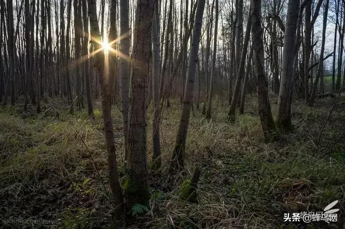 那些惊艳众人的封神镜头,小众广角镜头排行榜