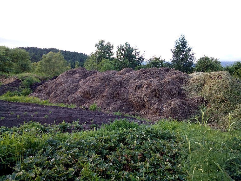 动物粪便堆肥的制作方法,怎么自己制作埋土里堆肥