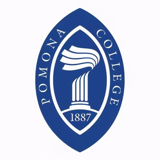 新常春藤大学,新常春藤