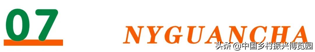 乡村振兴产业方面存在的问题,乡村数字化建设赋能产业振兴