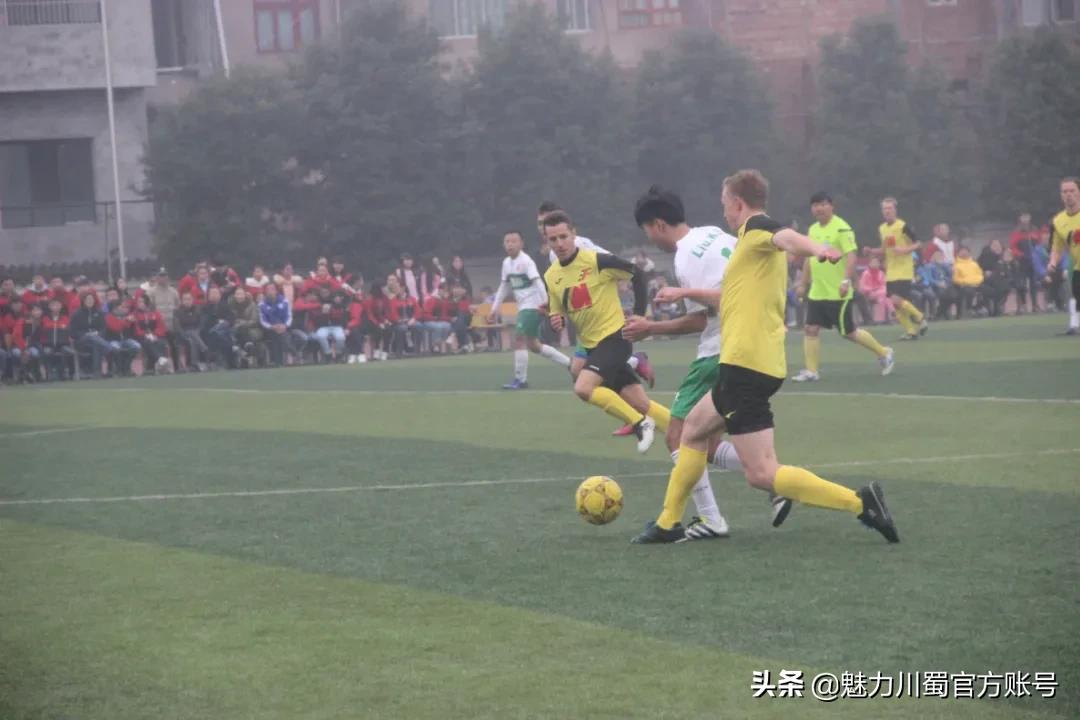 五育并举融合育人体育篇,五育并举体育公开课