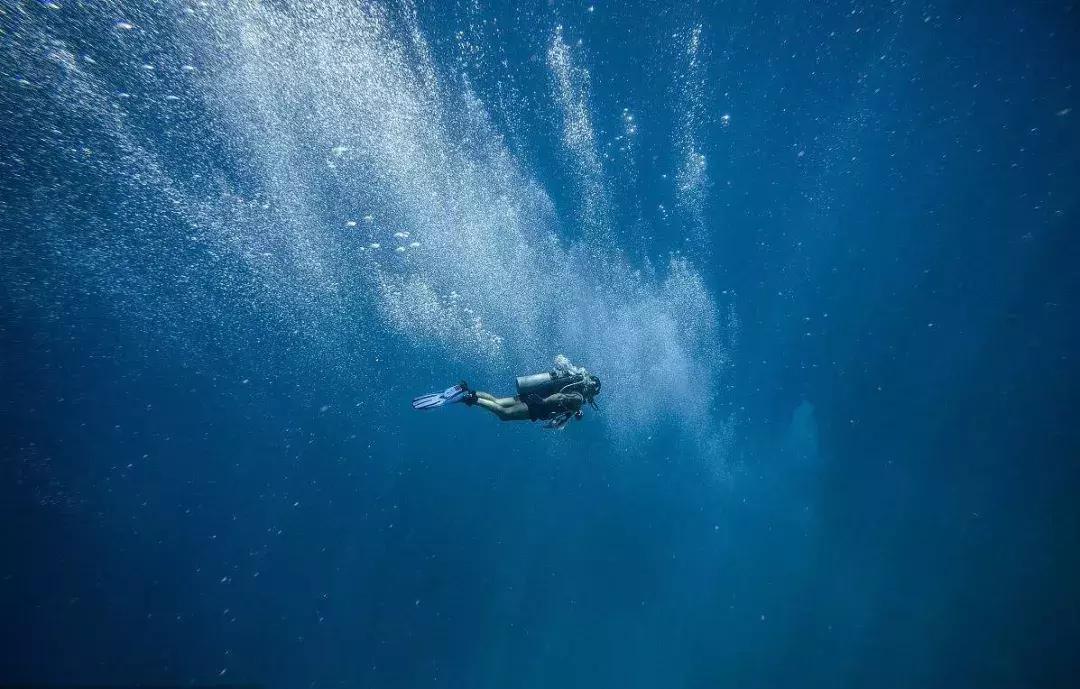 真正的君子是看透了人性,所谓君子是什么意思