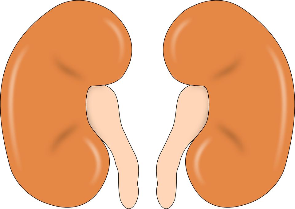 肾结石疼怎么可以快速排石,肾结石到膀胱了还用碎石吗