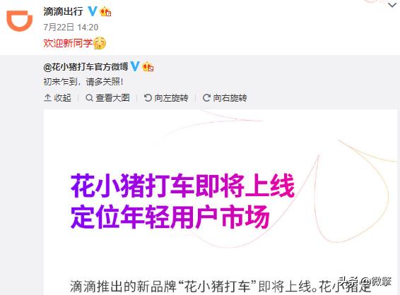 花小猪违规了多长时间恢复,花小猪涉嫌违规