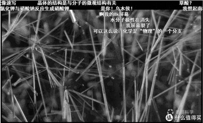 良心推荐！这10个好玩有趣的神仙网站，简直是学习工作必备神器