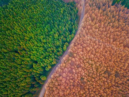 国庆重庆游玩攻略自由行,重庆五一节人少景美小众景点推荐